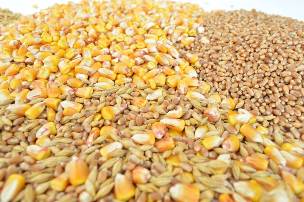 Экспорт зерновых уменьшился на четверть