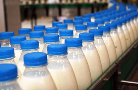 Производство молока экстра класса выросло на 44%