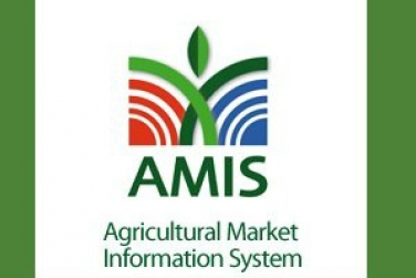 Участие в AMIS открывает новые возможности для Украины
