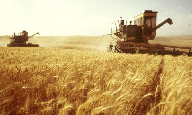 Пять крупнейших аграрных холдингов Украины
