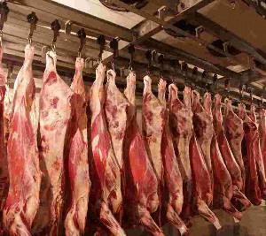 Казахстан готов экспортировать в Венгрию зерно и экологически чистое мясо