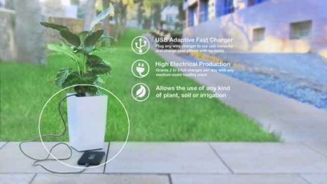 Горшок для цветов Bioo Lite заряжает гаджеты при помощи фотосинтеза