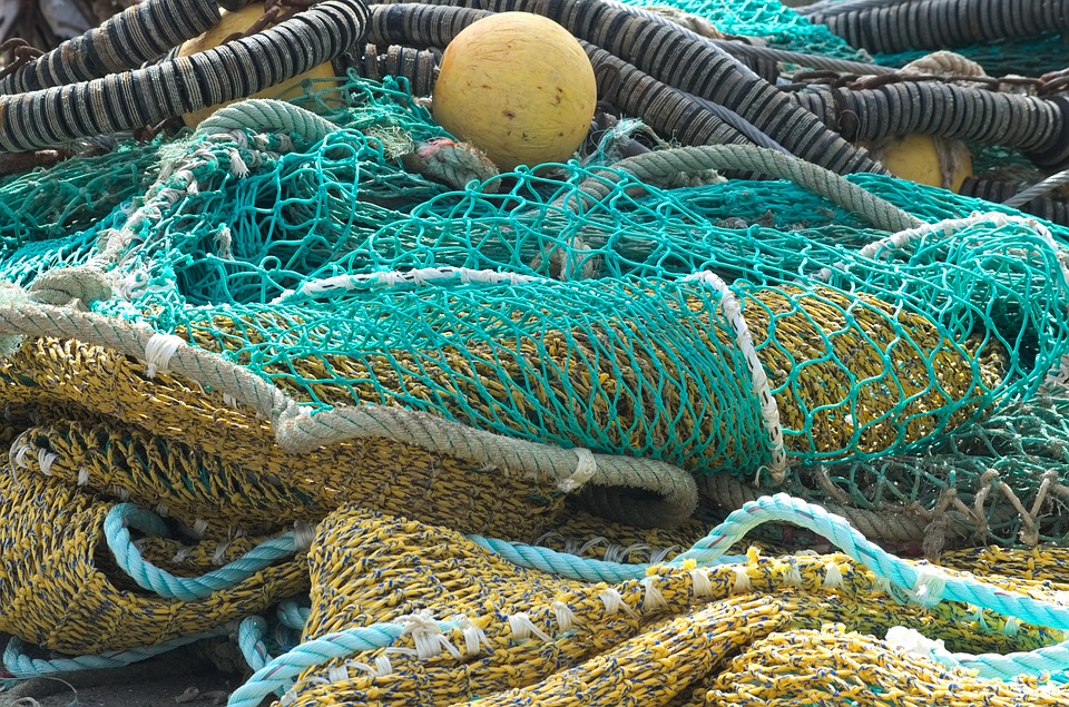 За первый год работы киевского рыбпатруля, 40% промышленного лова выведено из тени