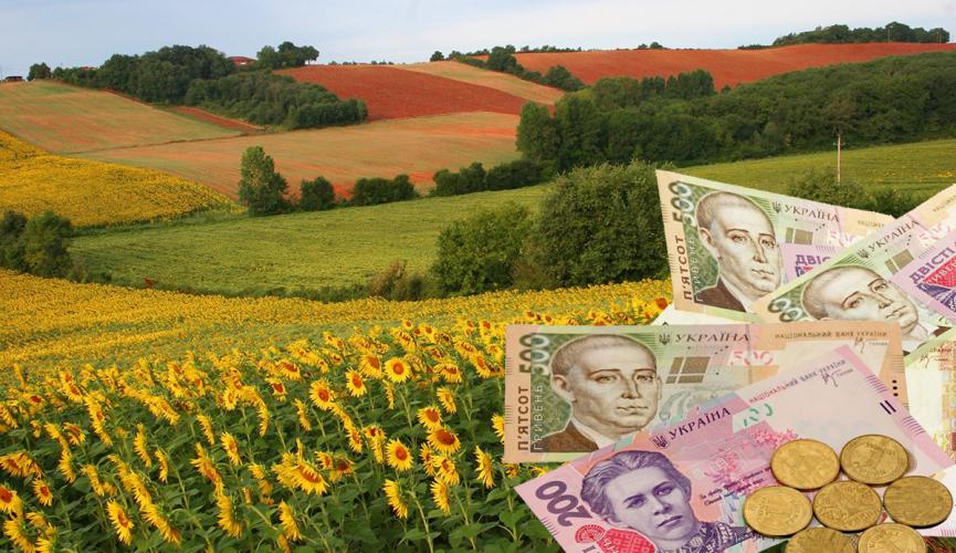 Производство сельхозпродукции в Украине за год подорожало на 14% 