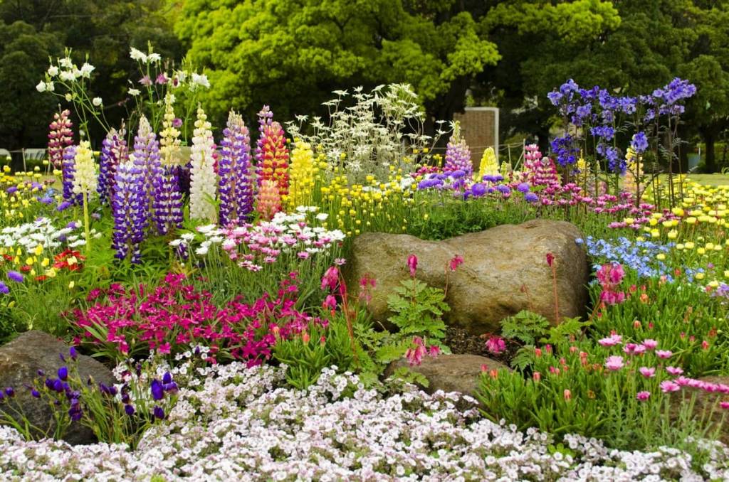 Многолетние садовые цветы: фото и описание