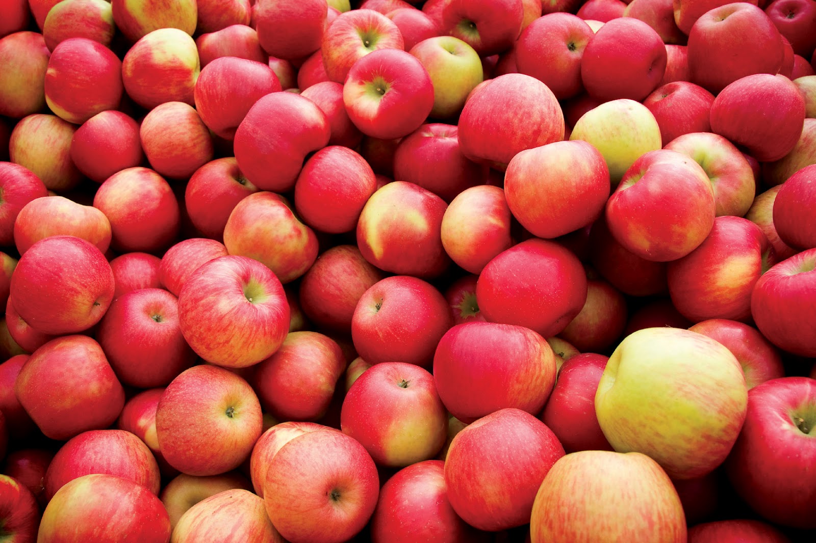 В Украине падает цена на яблоки