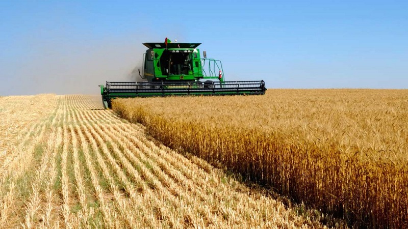 Инвестиции в сельское хозяйство достигли 40,5 млрд. грн.