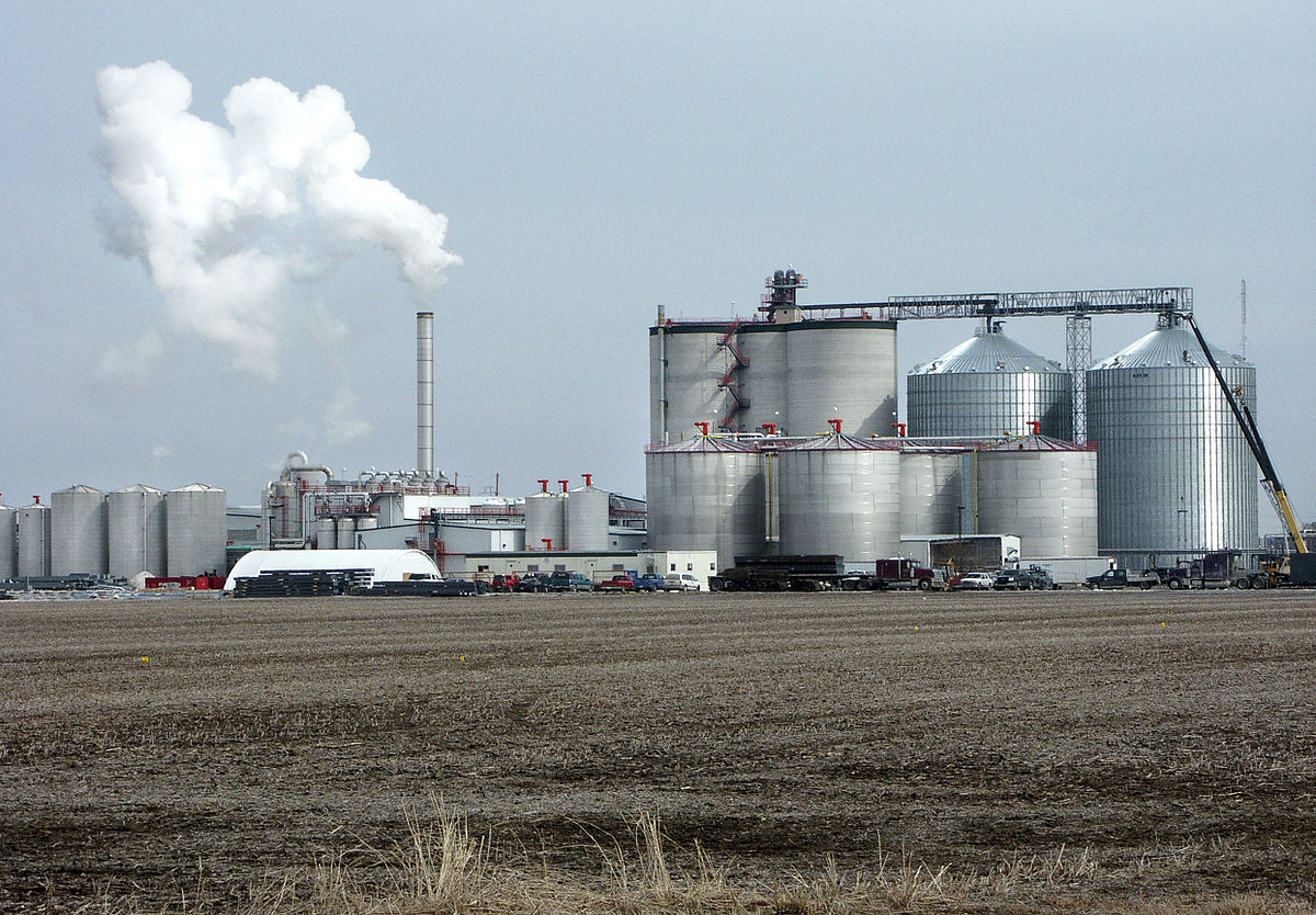 В Словакии построят крупнейший в Европе биотопливный завод