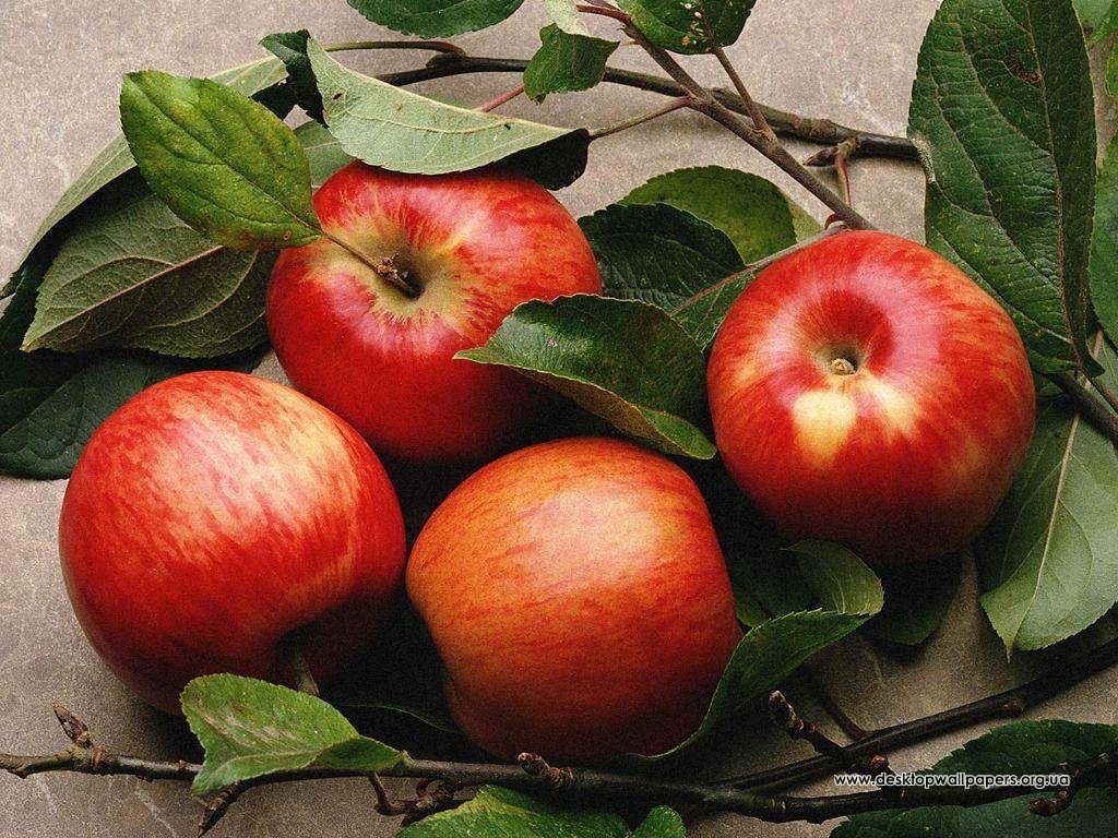 В Украине дешевеют отечественные яблоки