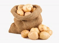 Найпопулярніші в Україні сорти картоплі