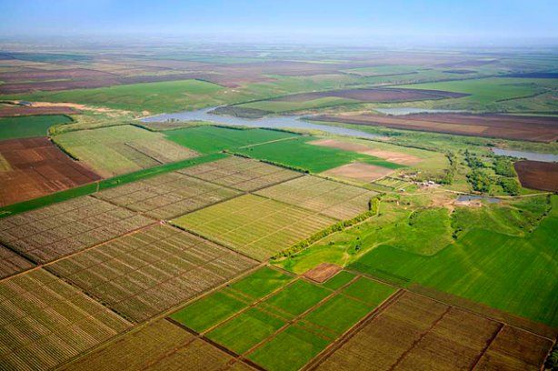 Аграрии обратились к Президенту Украины в связи с открытием рынка земли
