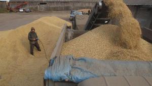 Мининфраструктуры обвинили в сознательном срыве экспорта зерновых