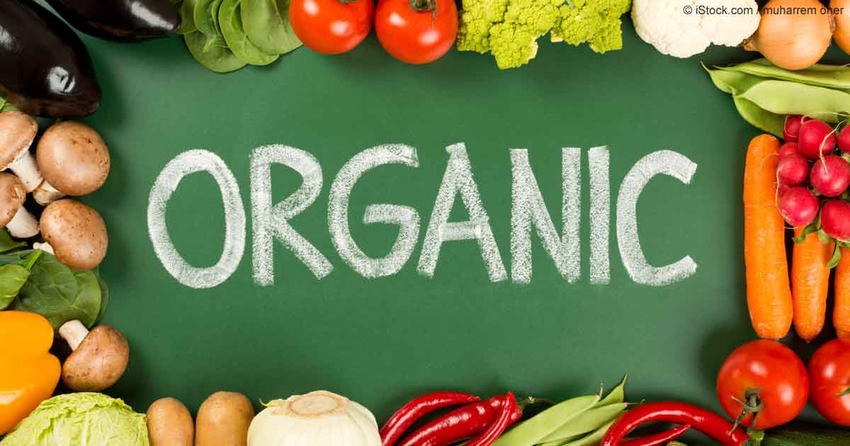 Все, что нужно знать потребителю об органической продукции
