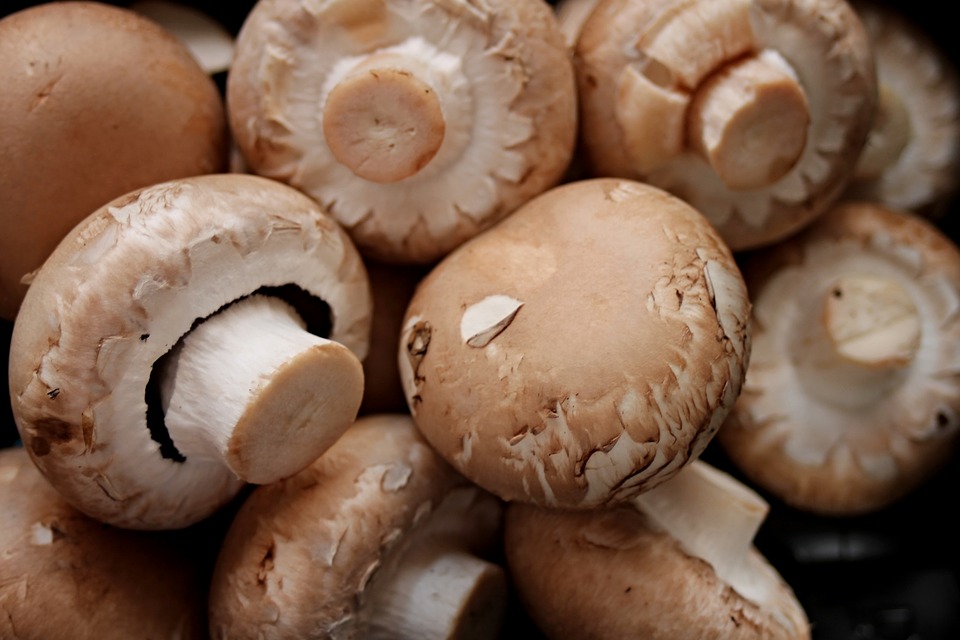 За два года экспорт грибов вырос почти в 12 раз
