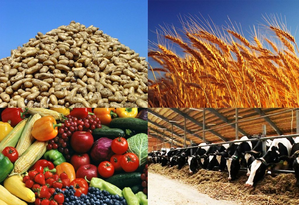 Производство аграрной продукции может уменьшиться на 2,1%