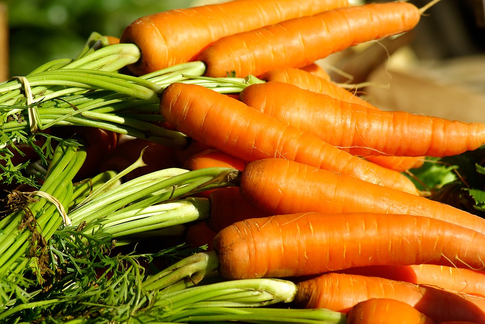 Цена на морковь в Украине продолжает снижаться