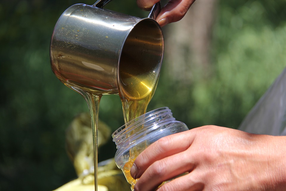 Украина рискует выбыть из лидеров по экспорту меда