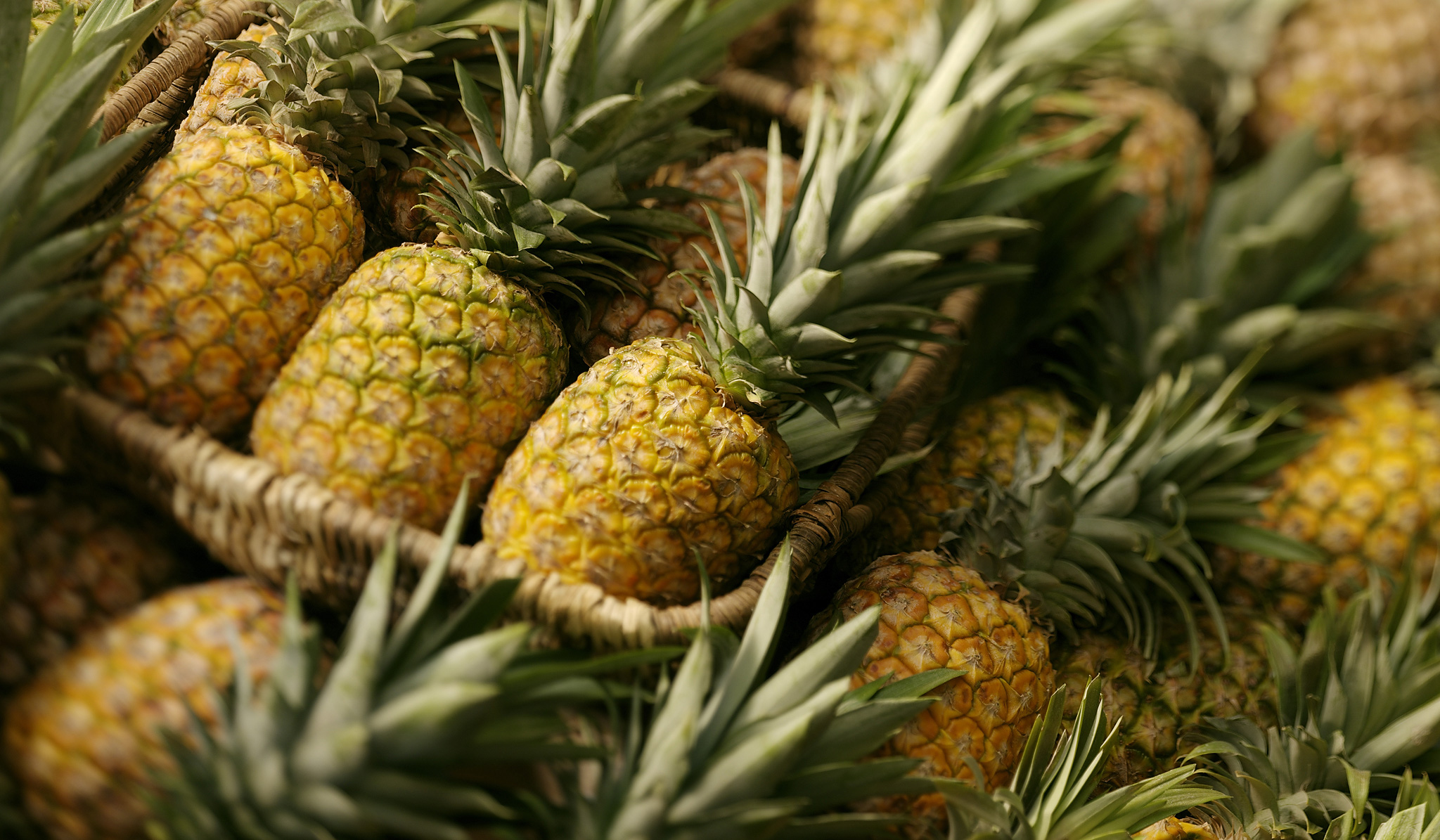 Интересности: 15 фактов об ананасах