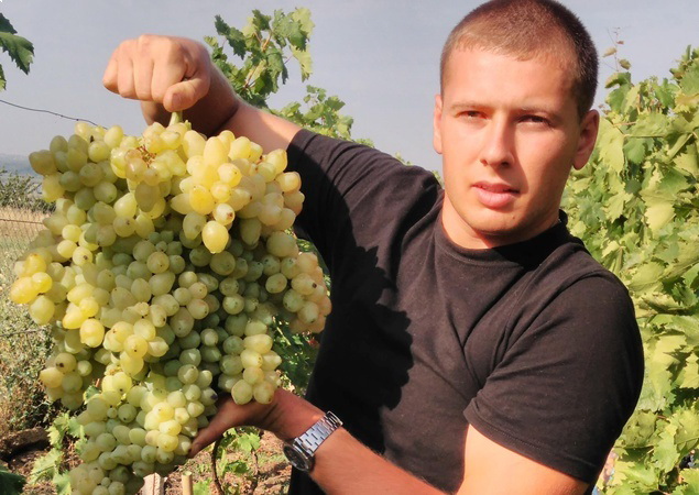 Украинец вырастил рекордно большую виноградную гроздь