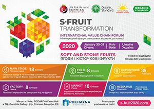 S-Fruit Transformation 2020