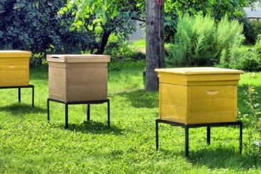 Правительство утвердило подробные правила производства органической продукции пчеловодства