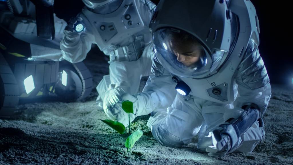 Без світла й фотосинтезу: як виростити врожай у космічній темряві