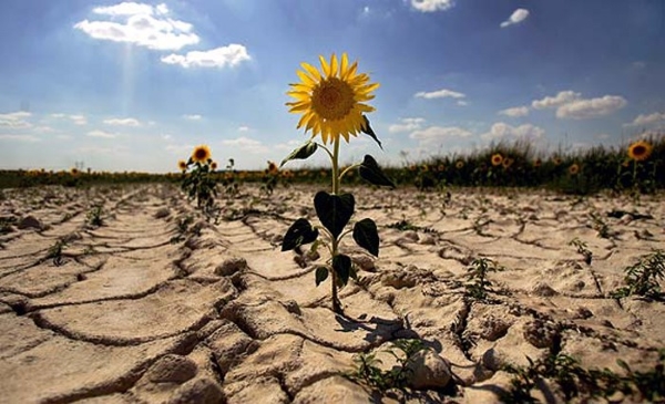 Через 25 лет плодородная почва может превратиться в пустыню