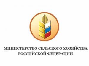 В Минсельхозе России создан Департамент информационной политики и специальных проектов