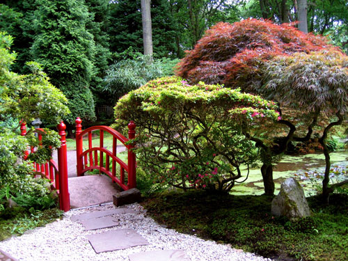 Как создать японский сад