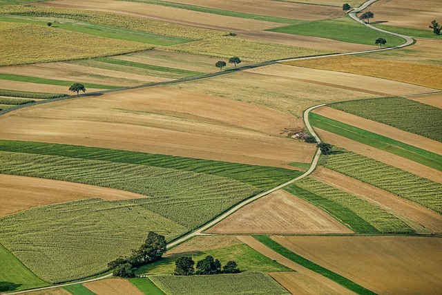 Попит і ціни на українські землі сільгосппризначення продовжують зростати