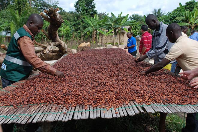 Производство какао