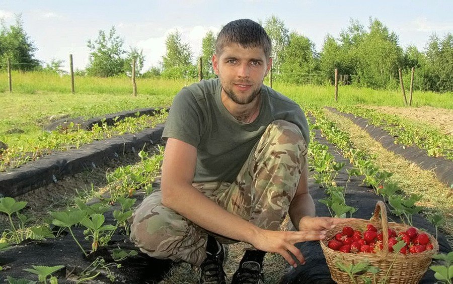 Приклад ветеранського бізнесу: учасник АТО Микола Стецьків створив органічну полуничну ферму 