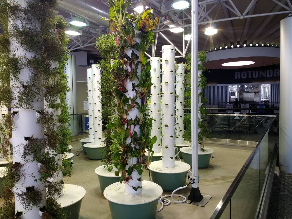 Аеропонний сад в аеропорту О'Хара (Чикаго, США)