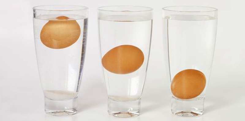 Проверка яиц на свежесть.jpg