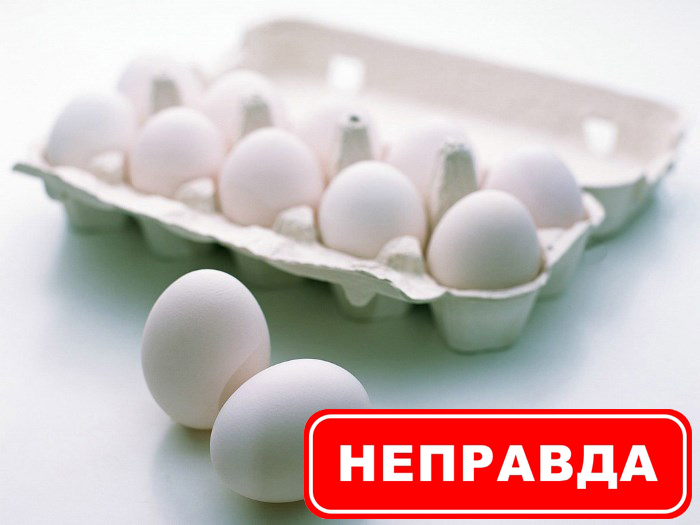 Мифы о пользе и вреде яиц.jpg