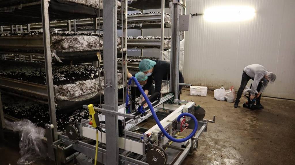 Подготовка робота-сборщика грибов украинского проекта REEST к работе на ферме