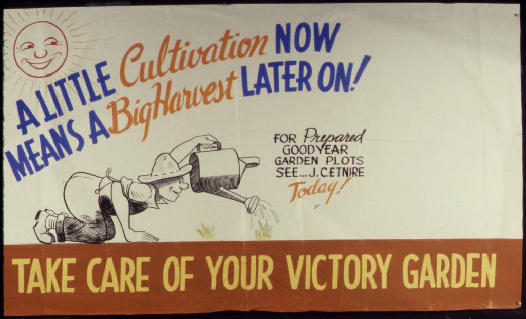 “Маленьке вирощування зараз означає великий урожай пізніше” – плакат приблизно 1942 року, який закликає громадян США вирощувати овочі