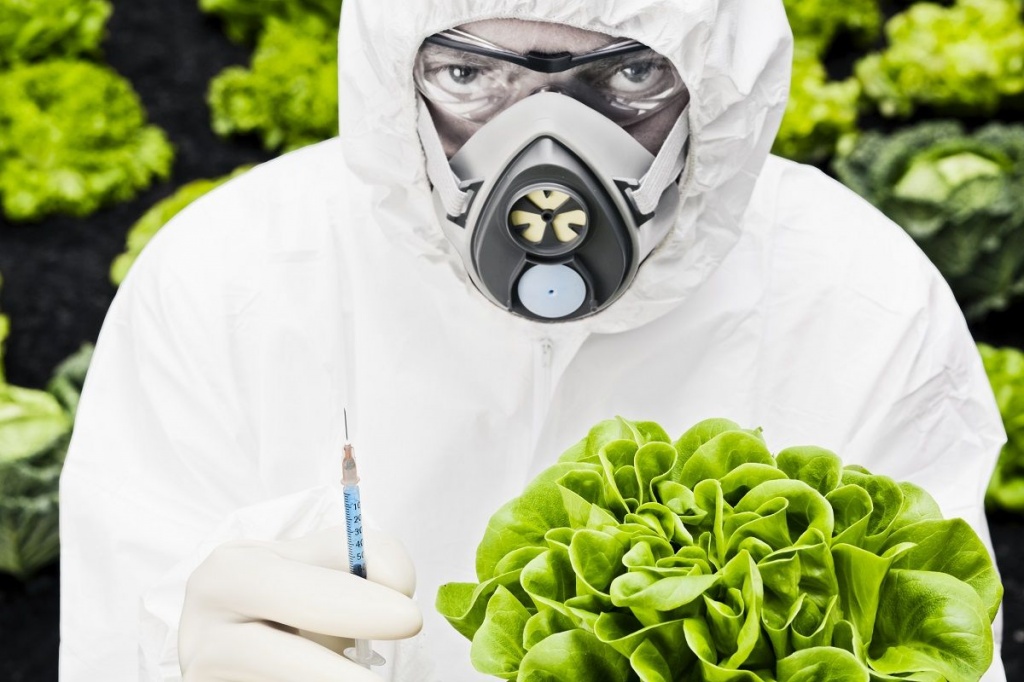 ГМО. Есть опасность или нет
