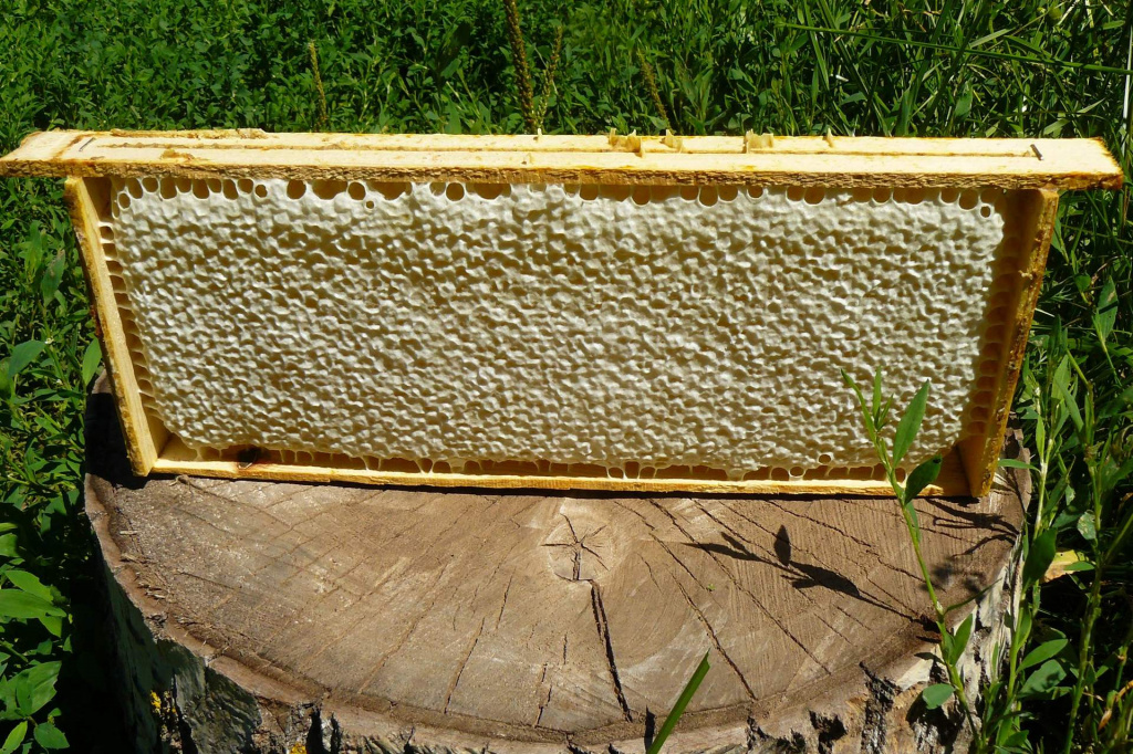 Мед на рамке