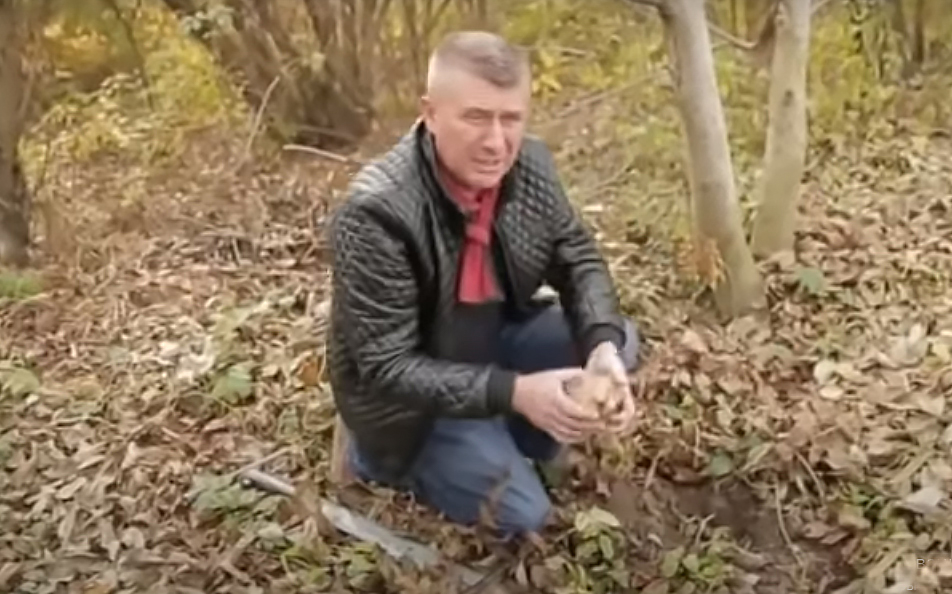 Михайло Козьма на своїй трюфельній плантації