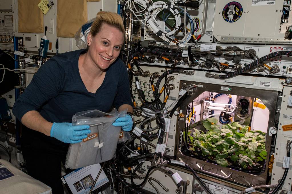 На этом фото NASA, облетевшем весь мир, – Кейт Рубинс с выращиваемыми в космосе растениями редиса 