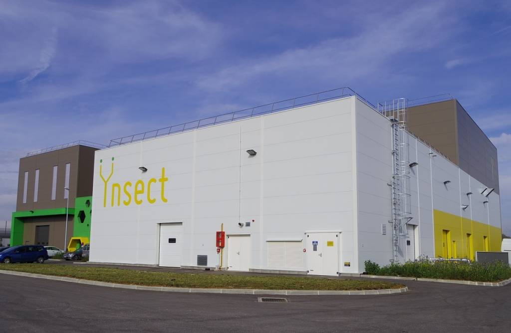 Підприємство з виробництва їстівних комах компанії Ynsect