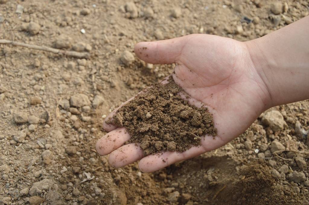 Тип почвы влияет на эффективность применения ЖКУ