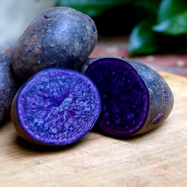 Картофель фиолетовый.jpg