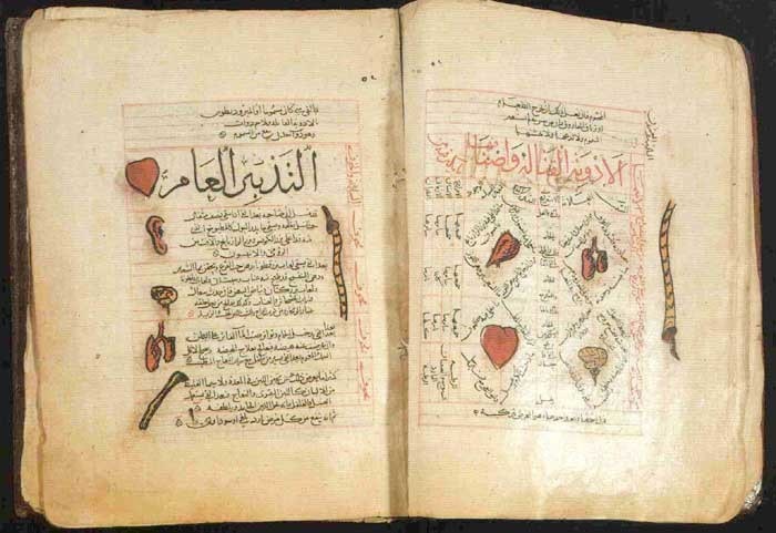 Праця Ібн Сіни "Канон лікарської науки"