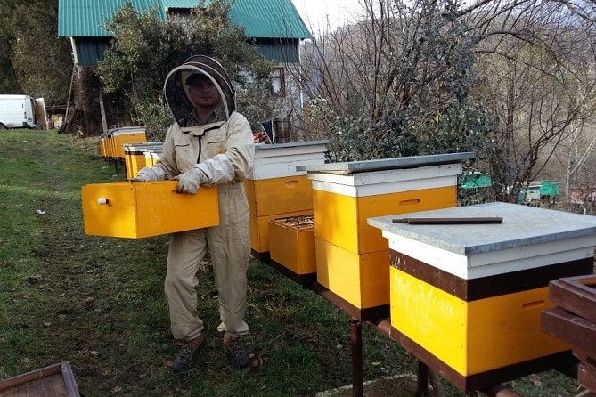 Підготовка бджіл до зими