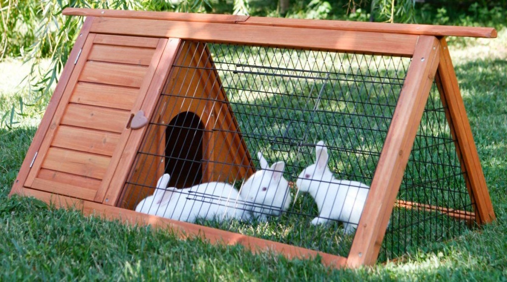 Кролики в клітці