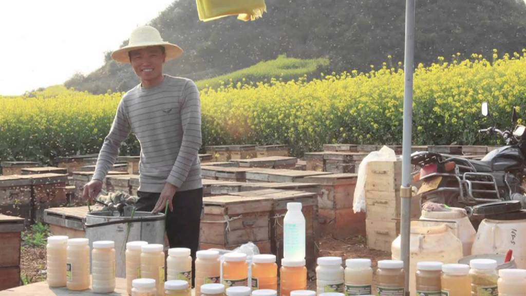 Китайське бджільництво