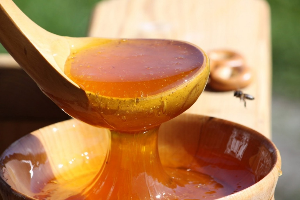 Мед як стимулятор росту рослин