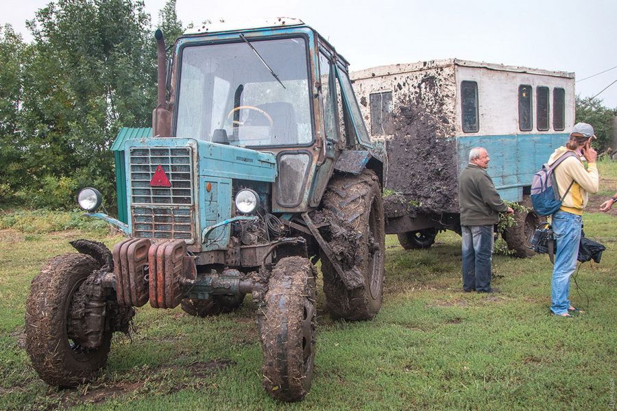 Трактор с прицепом на ферме киви